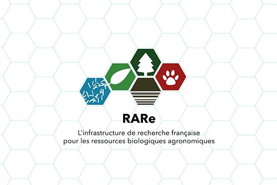 RARe, l’infrastructure de recherche française pour les ressources biologiques agronomiques