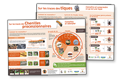 Poster de sensibilisation sur les tiques et chenilles