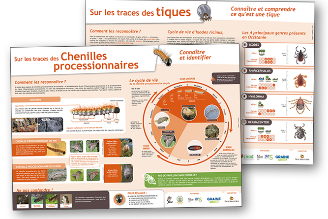 Poster de sensibilisation sur les tiques et chenilles