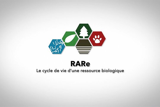 Le cycle de vie d’une ressource biologique